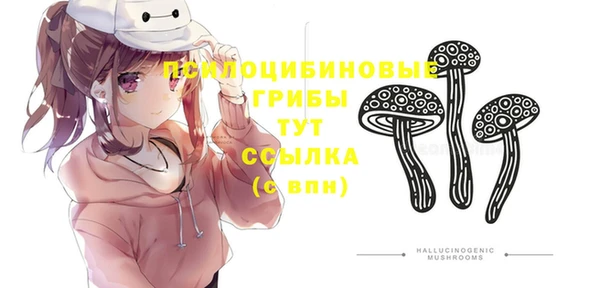 MESCALINE Белокуриха