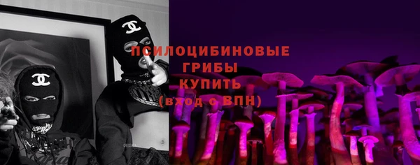 сатива Баксан