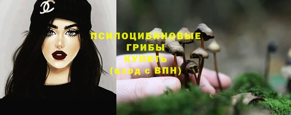 сатива Баксан