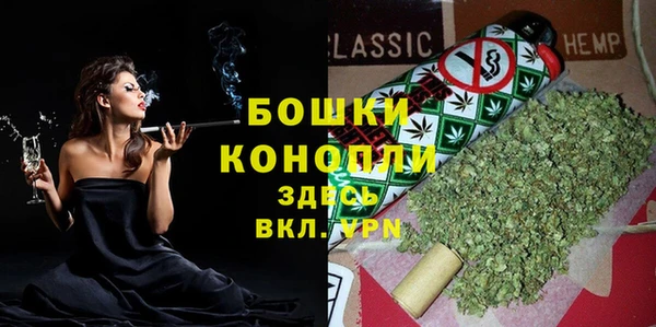 сатива Баксан