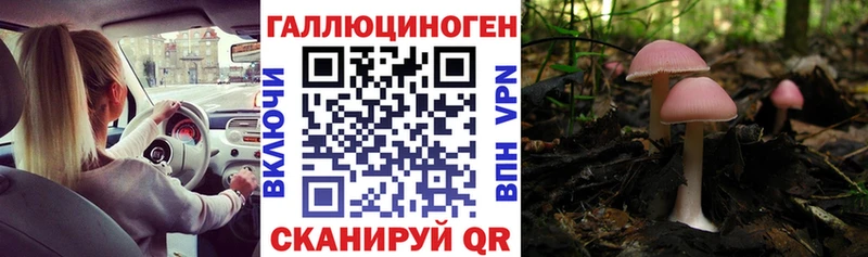 Галлюциногенные грибы ЛСД  Электросталь 