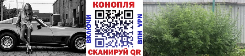 Каннабис индика  Электросталь 